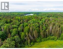 7281b Highway 124, Magnetawan, ON P0G1G0 Photo 15