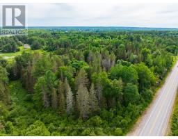 7281b Highway 124, Magnetawan, ON P0G1G0 Photo 19