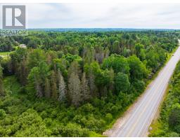 7281b Highway 124, Magnetawan, ON P0G1G0 Photo 20