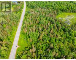 7281b Highway 124, Magnetawan, ON P0G1G0 Photo 6