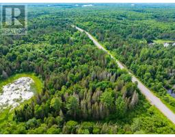 7281b Highway 124, Magnetawan, ON P0G1G0 Photo 7