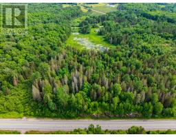 7281b Highway 124, Magnetawan, ON P0G1G0 Photo 9
