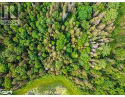 7281a Highway 124, Magnetawan, ON P0G1G0 Photo 14