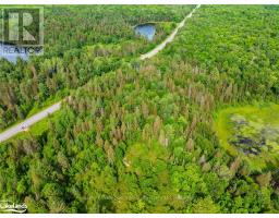 7281a Highway 124, Magnetawan, ON P0G1G0 Photo 6