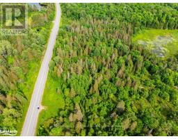 7281a Highway 124, Magnetawan, ON P0G1G0 Photo 7