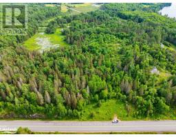 7281a Highway 124, Magnetawan, ON P0G1G0 Photo 9
