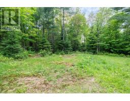 141 Middle Road, Mcmurrich/monteith, ON P0A1C0 Photo 23
