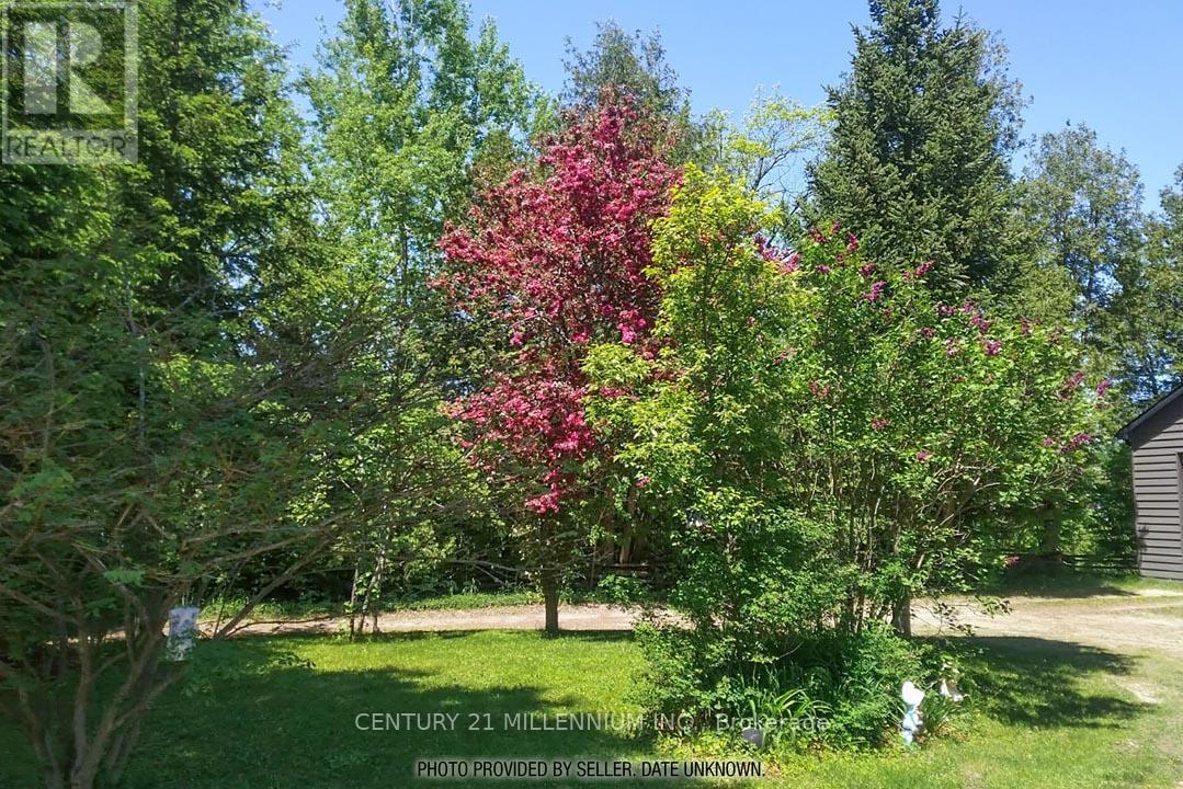 18599 HORSESHOE HILL ROAD, Caledon — photo 12