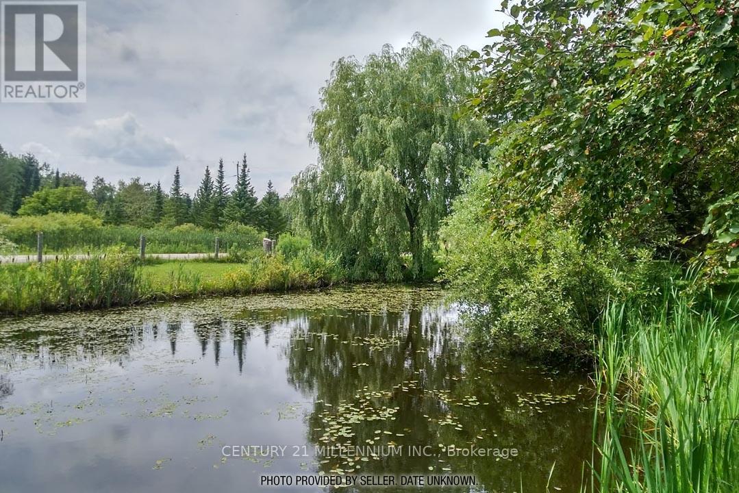 18599 HORSESHOE HILL ROAD, Caledon — photo 4
