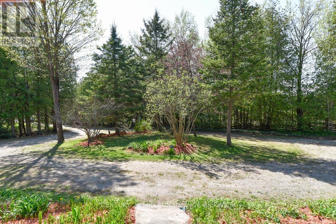 18599 HORSESHOE HILL ROAD, Caledon — photo 7