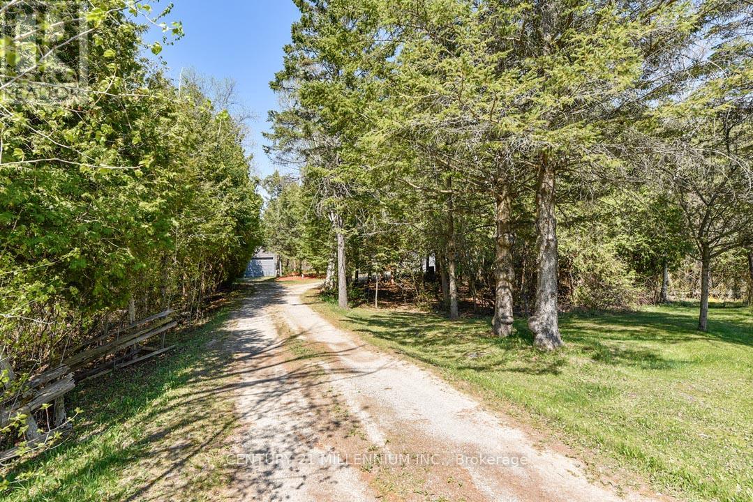 18599 HORSESHOE HILL ROAD, Caledon — photo 8