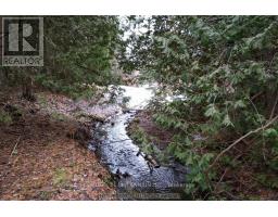 18599 Horseshoe Hill Road, Caledon, ON L7K2B9 Photo 42