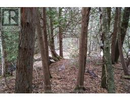 18599 Horseshoe Hill Road, Caledon, ON L7K2B9 Photo 43
