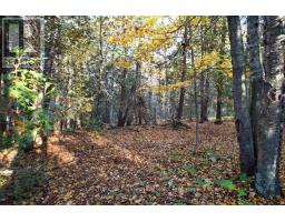 18599 Horseshoe Hill Road, Caledon, ON L7K2B9 Photo 45