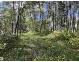 14060 Township Road 650, Rural Lesser Slave River M D , AB T0G0Y0 Photo 56
