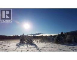 Other - 3325 Garrett Road, Mcbride, BC V0J2E0 Photo 13