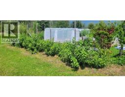 3325 Garrett Road, Mcbride, BC V0J2E0 Photo 29
