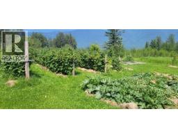 3325 Garrett Road, Mcbride, BC V0J2E0 Photo 31