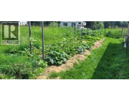 3325 Garrett Road, Mcbride, BC V0J2E0 Photo 35