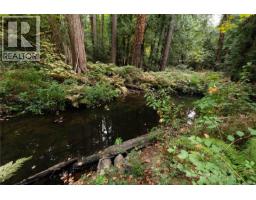 539 Downhome Dr, Langford, BC V9B5K3 Photo 87