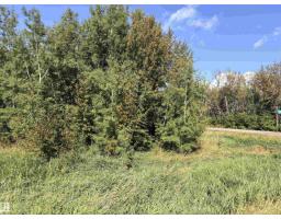 #458 20212 Twp Road 510, Rural Strathcona County, AB T8G1E8 Photo 57