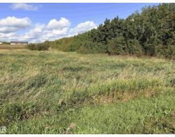 #458 20212 Twp Road 510, Rural Strathcona County, AB T8G1E8 Photo 64