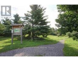 Main Level - 153 Niagara Drive, Oshawa, ON L1G8A6 Photo 19