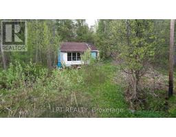 2458 South Orr Lake Road, Springwater, ON L0L1P0 Photo 12