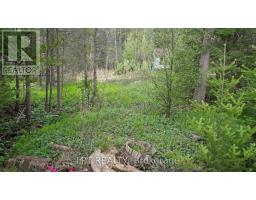 2458 South Orr Lake Road, Springwater, ON L0L1P0 Photo 16