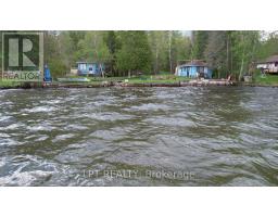 2458 South Orr Lake Road, Springwater, ON L0L1P0 Photo 9