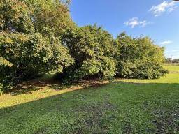 18 Railway Avenue, Libau, MB R0E1C0 Photo 26