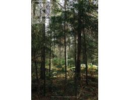 2360 Etwell Road, Huntsville, ON P1H2J2 Photo 12