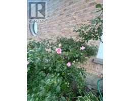 72 - 19 Wickstead Court, Brampton, ON L6R1N8 Photo 10
