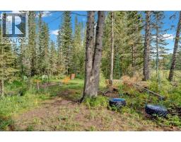 224 7 Street Ne, Sundre, AB T0M1X0 Photo 40