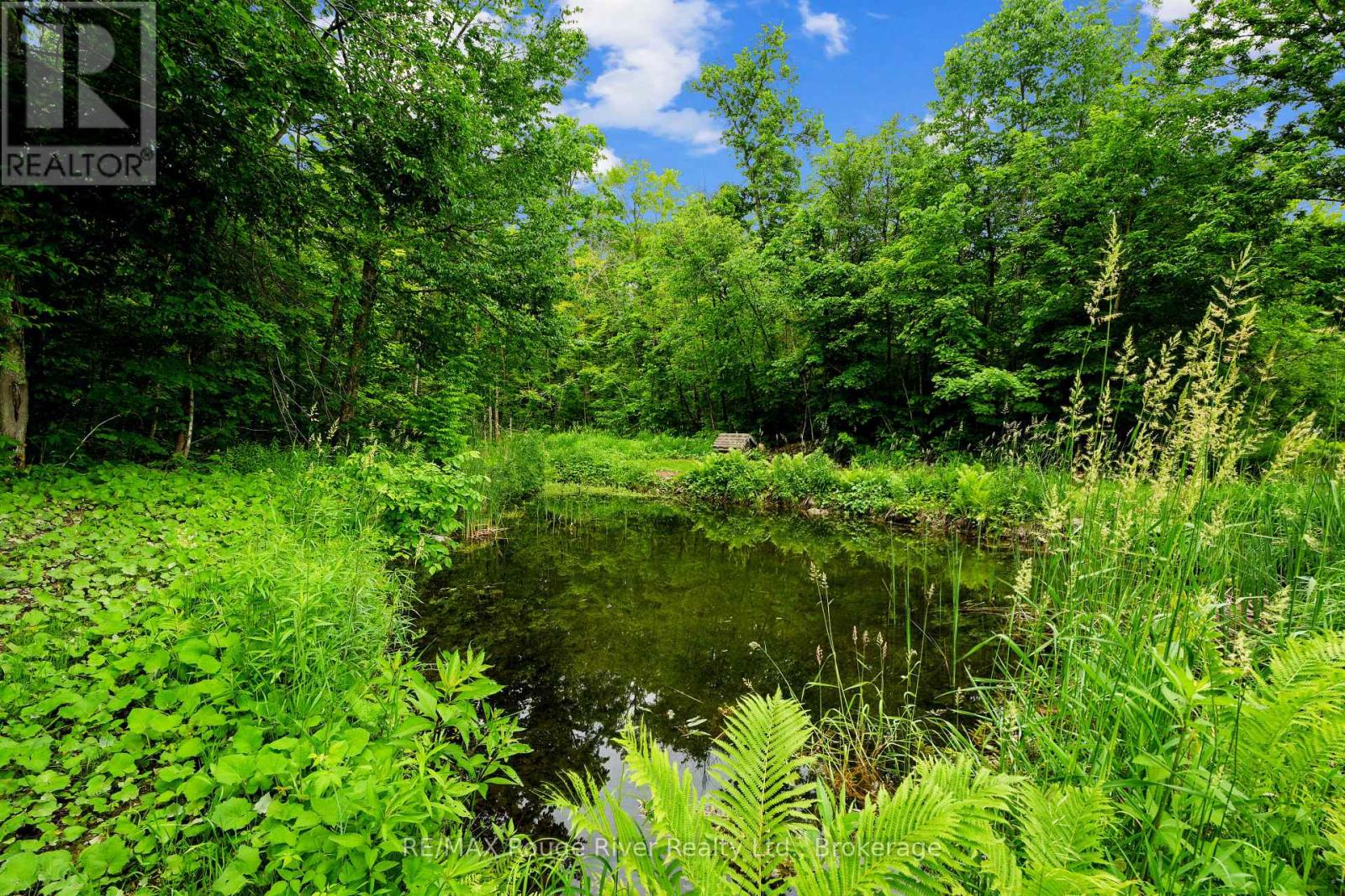 559 COUNTY ROAD 47 ROAD N - Image 9