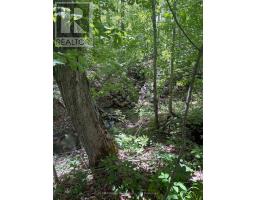 559 County Road 47 Road N, Havelock Belmont Methuen, ON K0L1Z0 Photo 36