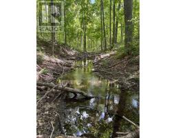 559 County Road 47 Road N, Havelock Belmont Methuen, ON K0L1Z0 Photo 37