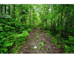 559 County Road 47 Road N, Havelock Belmont Methuen, ON K0L1Z0 Photo 40