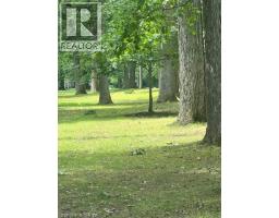 30 Proctor Avenue, Brantford, ON N3S3E7 Photo 46