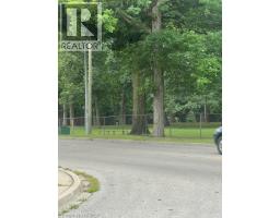 30 Proctor Avenue, Brantford, ON N3S3E7 Photo 38