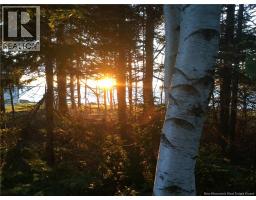 38 Front Road, Bay Du Vin, NB E1N5K1 Photo 49