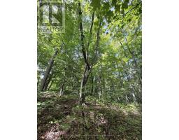 0-150 Tait's Island Road, Mckellar, ON P2A0B4 Photo 10