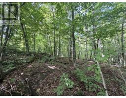 0-150 Tait's Island Road, Mckellar, ON P2A0B4 Photo 11