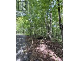 0-150 Tait's Island Road, Mckellar, ON P2A0B4 Photo 13