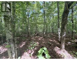 0-150 Tait's Island Road, Mckellar, ON P2A0B4 Photo 14
