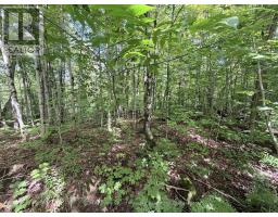 0-150 Tait's Island Road, Mckellar, ON P2A0B4 Photo 15