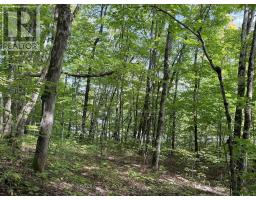 0-150 Tait's Island Road, Mckellar, ON P2A0B4 Photo 8