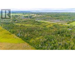 Pt W1/2 Lt 23 Baseline Road, Georgina, ON L0E1R0 Photo 8