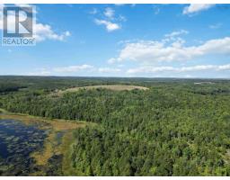 Lot (pid 60348810) Crousetown Road, Conquerall Mills, NS B4V6E5 Photo 12