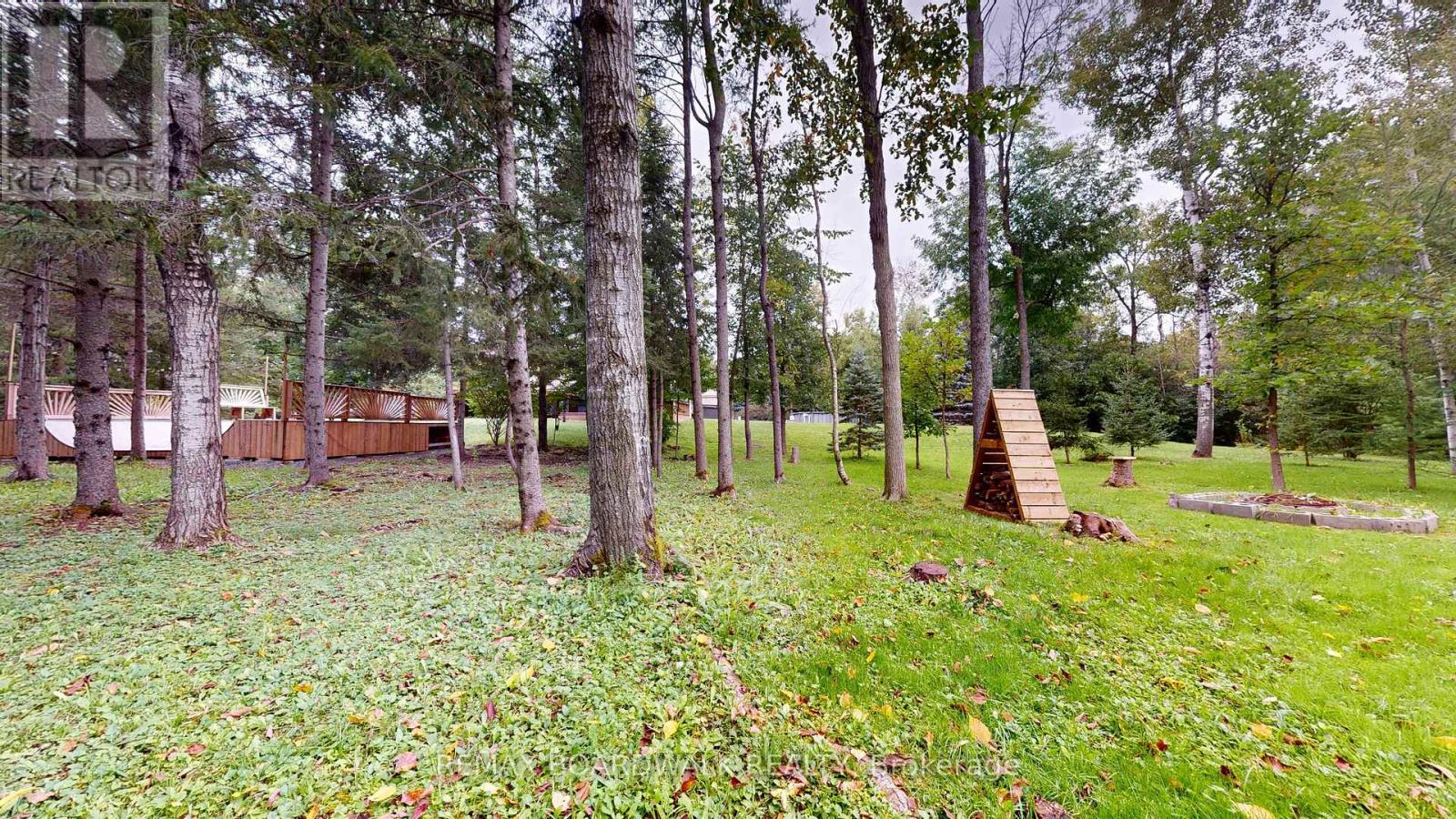 1276 LORI ELIZABETH STREET - Image 3